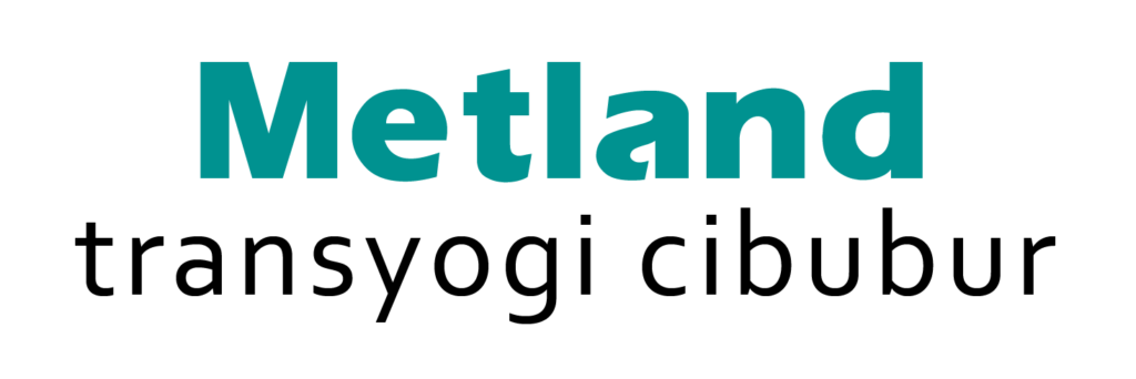 logo Metland